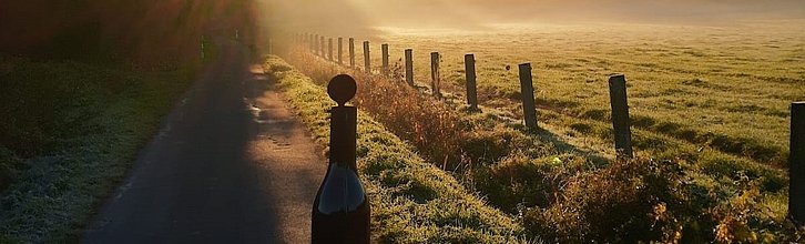 Vom Sitz eines Treckers aus fotografierte Spätsommer-Landschaft